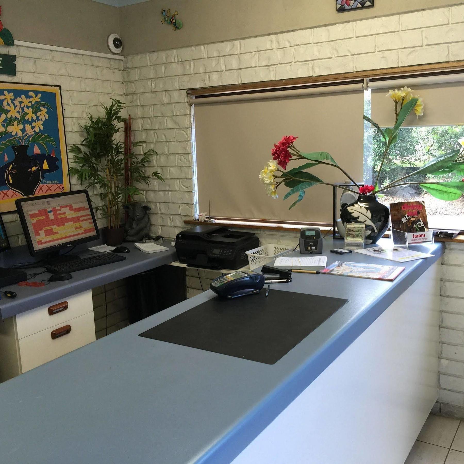 Holland Park Motel Μπρίσμπεϊν Εξωτερικό φωτογραφία